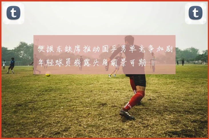 樊振东缺席推动国乒男单竞争加剧年轻球员崭露头角前景可期